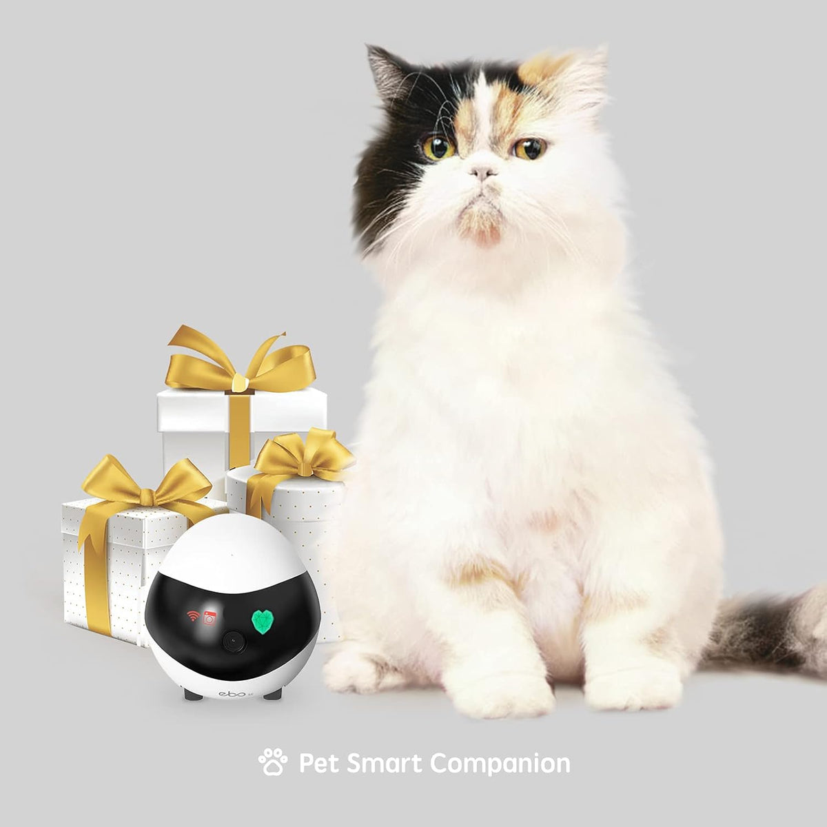 SE Home Robot Camera: 1080P Mobile Familybot Pet Companion