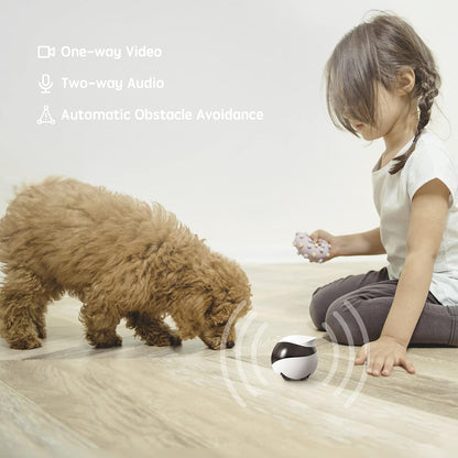 SE Home Robot Camera: 1080P Mobile Familybot Pet Companion